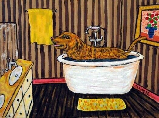 Chesapeake Bay Retriever Dog Art Print Poster Gift Jschmetz 13x19 Bathroom Bath